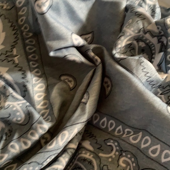 Meet your Posher, Yodi - Picture 1 of 1